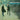SIMON AND GARFUNKEL - SOUNDS OF SILENCE - 0190758749419