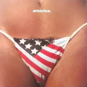 BLACK CROWES - AMORICA