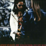 LENNY KRAVITZ - ARE YOU GONNA GO MY WAY