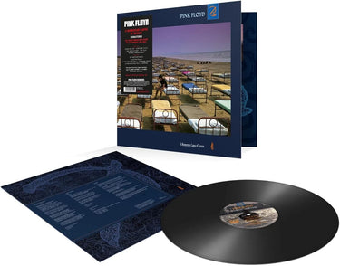 PINK FLOYD - A MOMENTARY LAPSE OF REASON (REMASTERED 2LP)
