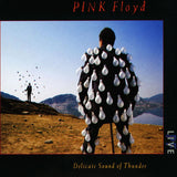 PINK FLOYD - DELICATE SOUND OF THUNDER (2LP GATEFOLD)