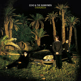 ECHO AND THE BUNNYMEN - EVERGREEN (LTD WHITE VINYL)