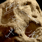 IRELAND EXCLUSIVE CLAY VINYL W/ SIGNED ART CARD