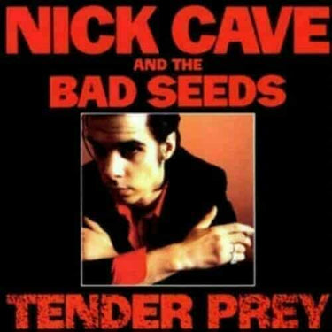 NICK CAVE AND THE BAD SEEDS - TENDER PREY (BLACK VINYL)