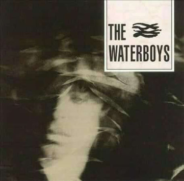 WATERBOYS - THE WATERBOYS