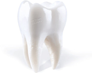 PORIJ - Teething