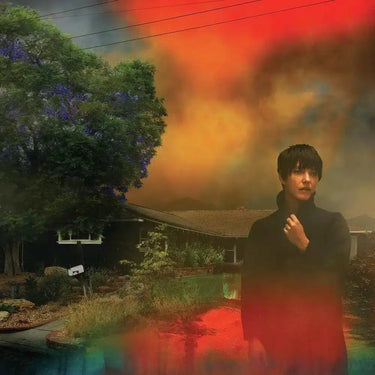 SHARON VAN ETTEN - WE'VE BEEN GOING ABOUT THIS ALL WRONG (MARBLED SMOKE VINYL)
