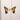 PARAMORE - BRAND NEW EYES - 0075678956133