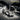 Jayhawks - PAGING MR. PROUST - 0083832193713