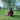 AN INTRODUCTION TO SYD BARRETT (BLACK VINYL 2LP)
