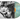 DEADBEAT (COKE BOTTLE CLEAR VINYL 2LP)