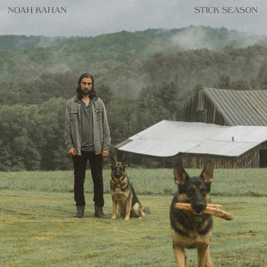 STICK SEASON (BLACK VINYL 2LP)