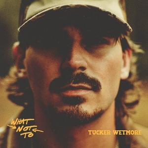 WHAT NOT TO (BLACK VINYL 2LP)