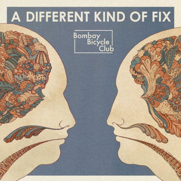 A DIFFERENT KIND OF FIX