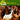 PET SOUNDS (MONO)
