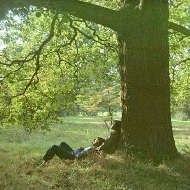 JOHN LENNON - PLASTIC ONO BAND (ULTIMATE MIXES 2LP) - 0602507354541