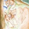 BONNIE PRINCE BILLY - WOLF OF THE COSMOS - 0887828042012