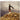 SNOW PATROL - WHEN ITS ALL OVER WE STILL HAVE TO CLEAR - 5053760089353