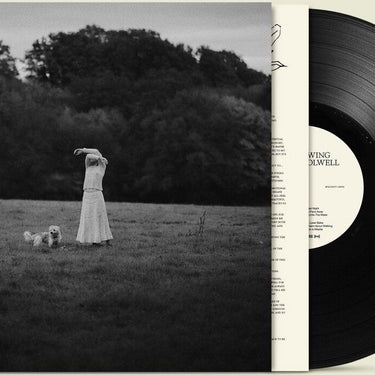 ON THE WING (140G BLACK VINYL)