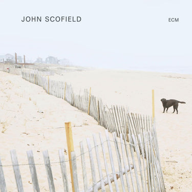JOHN SCOFIELD (BLACK VINYL)
