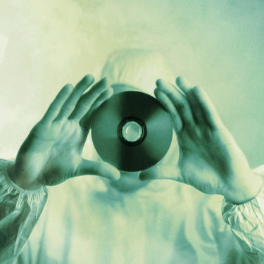 STUPID DREAM (BLACK VINYL 2LP)