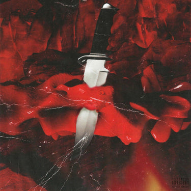 SAVAGE MODE (LTD ED 10TH ANNIVERSARY)