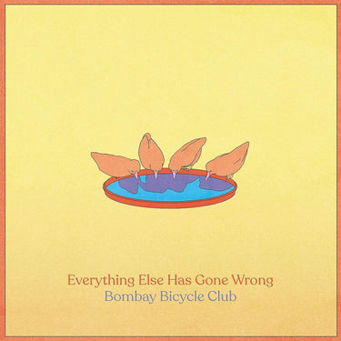 EVERYTHING ELSE HAS GONE WRONG (DELUXE EDITION)