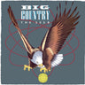 BIG COUNTRY - THE SEER - 0805520240208