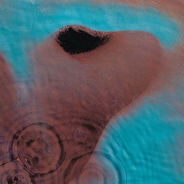 MEDDLE (180G BLACK VINYL)