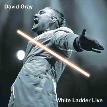 WHITE LADDER LIVE (2LP)