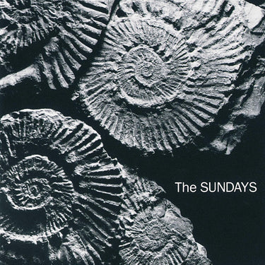 READING WRITING AND ARITHMETIC (GREY VINYL)