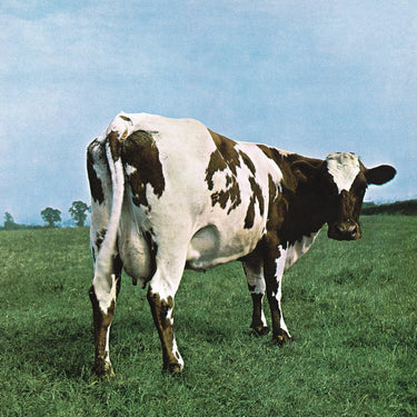 ATOM HEART MOTHER (180G BLACK VINYL)