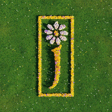 NOTHING BUT LOVE - THE DEFINITIVE BEST OF JAMES (BLACK VINYL 2LP)