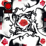 RED HOT CHILI PEPPERS - BLOOD SUGAR SEX MAGIK (180G VINYL 2LP)