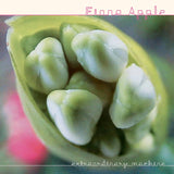 FIONA APPLE - EXTRAORDINARY MACHINE (BLACK VINYL 2LP)