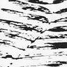 GUY BLAKESLEE - EXTRAVISION