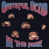 GRATEFUL DEAD - IN THE DARK (BLACK VINYL)