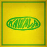 KAWALA - KAWALA COLLECTION
