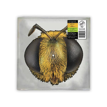RSD26 BIG FIG WASP / LP