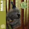 MADLIB - LOW BUDGET HIGH FI MUSIC