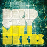 DAVID GRAY - MUTINEERS (180G BLACK VINYL 2LP)