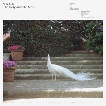 SOFT LOFT - PARTY AND THE MESS,THE