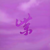 STONE TEMPLE PILOTS - PURPLE RARITIES (RSD BF 2024 EDITION)