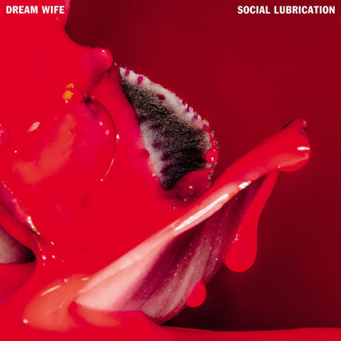 DREAM WIFE - SOCIAL LUBRICATION