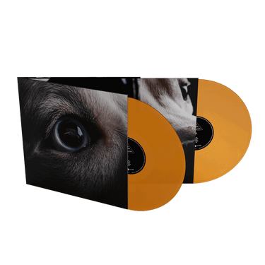 ROGER WATERS - THE DARK SIDE OF THE MOON REDUX (LTD ORANGE VINYL)