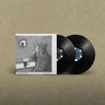 MICK FLANNERY - THE HOUSE MUST WIN (BLACK VINYL 2LP)