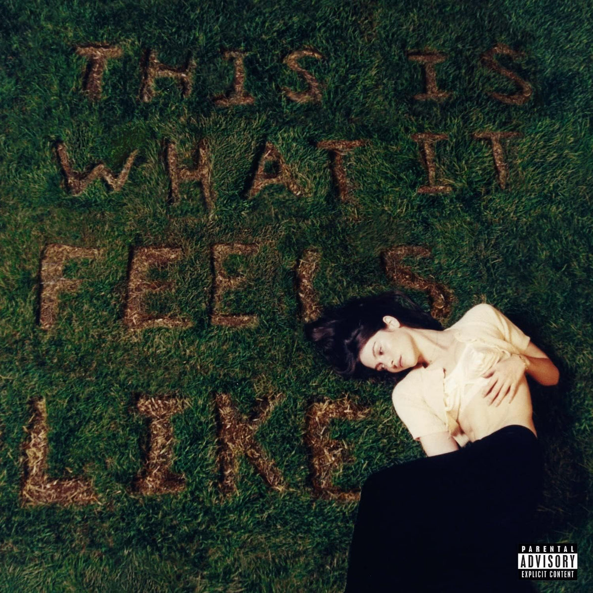 This Is What It Feels Like - 12 INCH RECORD