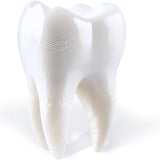 PORIJ - Teething