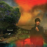 SHARON VAN ETTEN - WE'VE BEEN GOING ABOUT THIS ALL WRONG (MARBLED SMOKE VINYL)