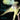 CURE - HEAD ON THE DOOR - 0042282723116